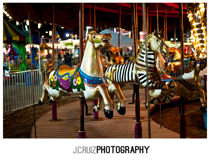 Dobby Horses