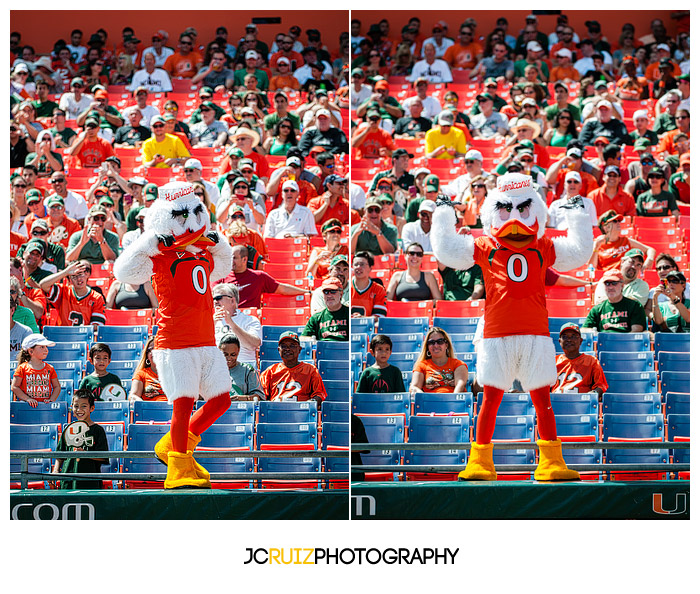 University of Miami Hurricanes - JC Ruiz Photography