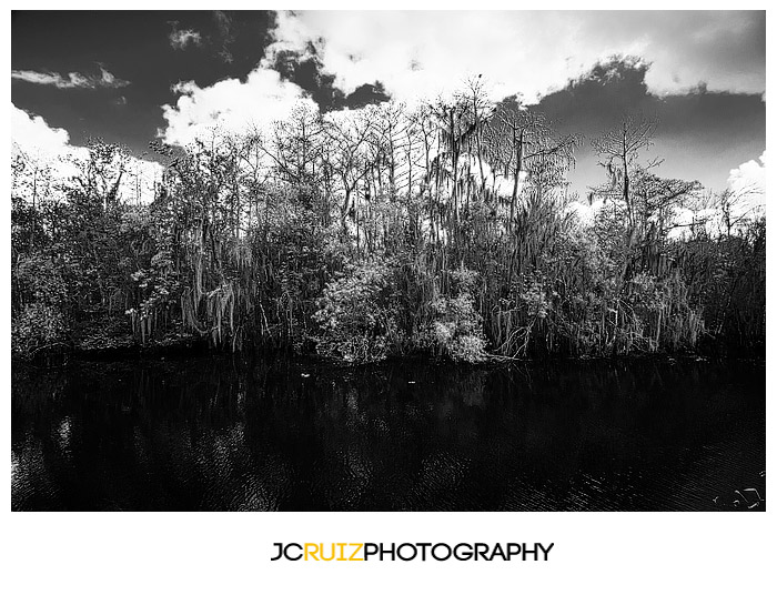 Big Cypress National Preserve