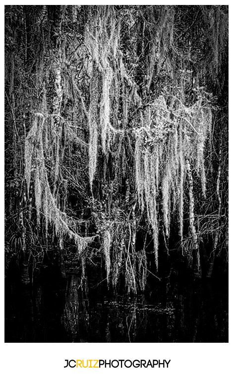 Big Cypress National Preserve