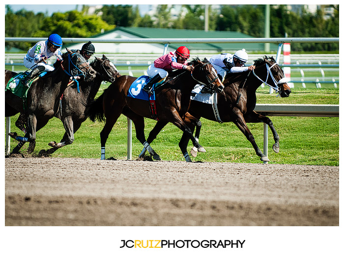 Gulfstream Park Horse Racing