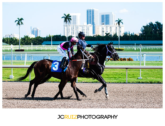 Gulfstream Park Horse Racing