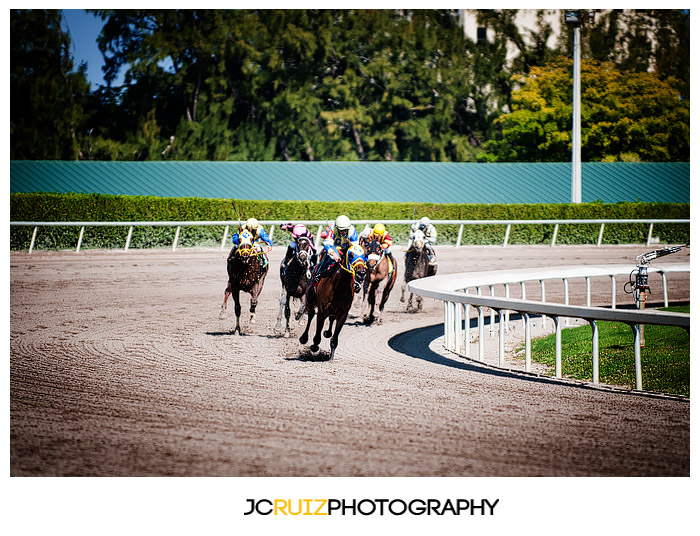 Gulfstream Park Horse Racing