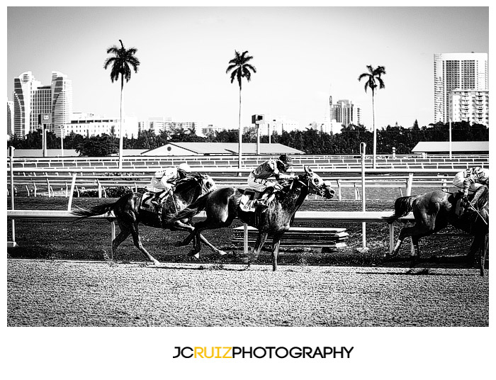 Gulfstream Park Horse Racing