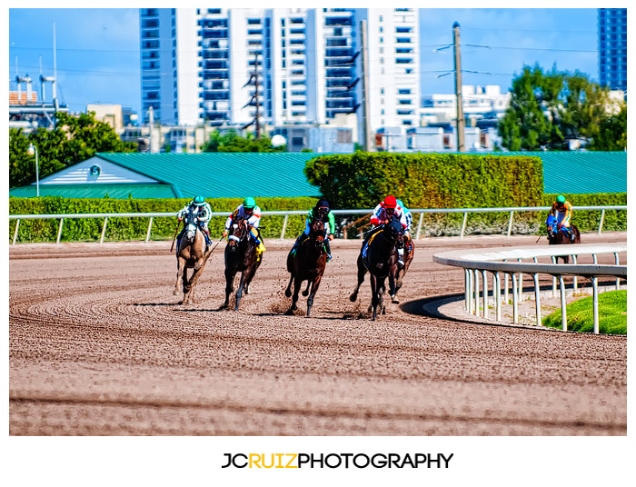 Gulfstream Park Horse Racing