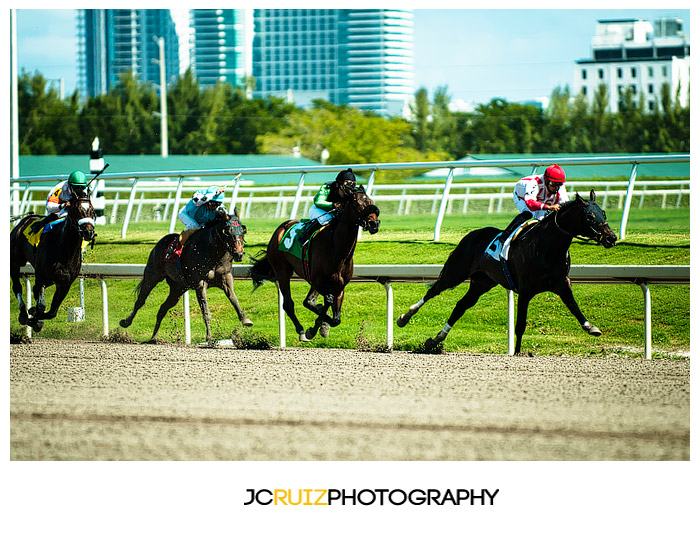 Gulfstream Park Horse Racing