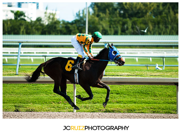 Gulfstream Park Horse Racing