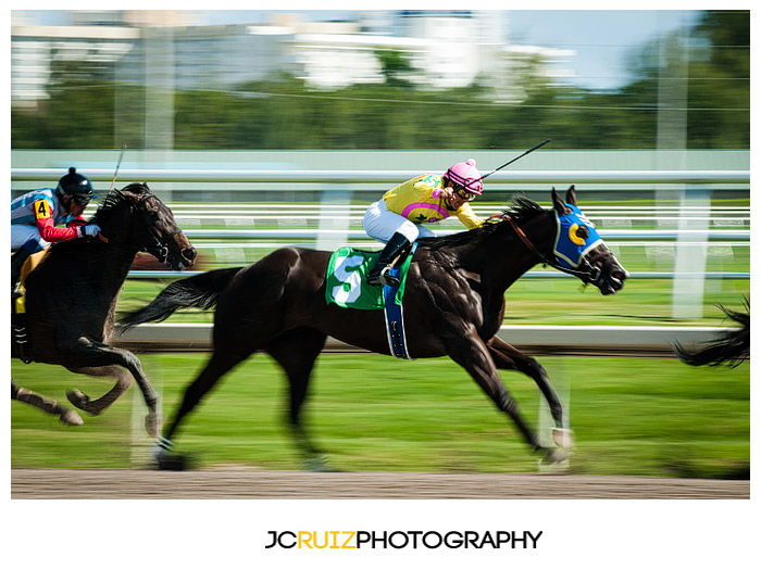 Gulfstream Park Horse Racing