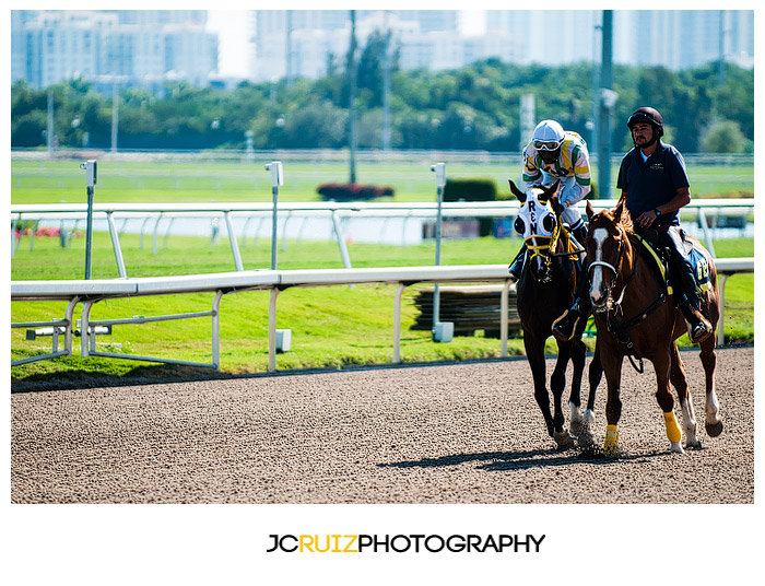 Gulfstream Park Horse Racing