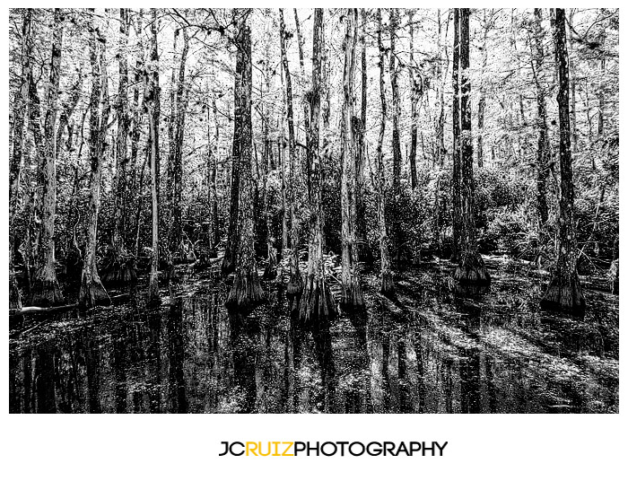 Big Cypress National Preserve
