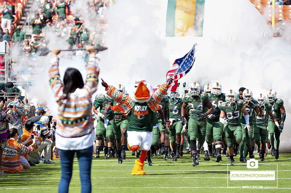 Sebastian the Ibis leads the Hurricanes onto the field