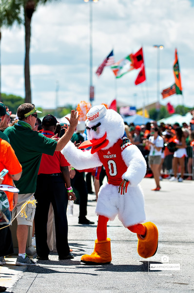 Sebastian the Ibis greets fans