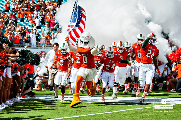 Sebastian the Ibis leads the team out