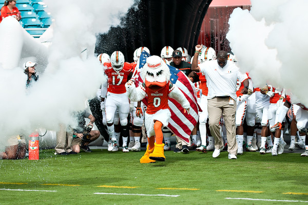 Sebastian the Ibis leads the team onto the field