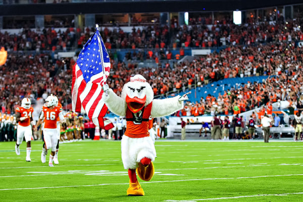 Sebastian the Ibis leads the team onto the field