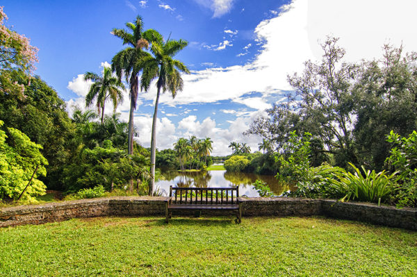 Tropical Fairchild Gardens