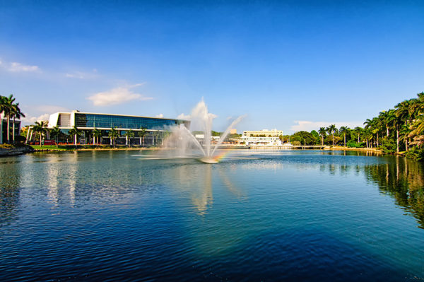 The University of Miami