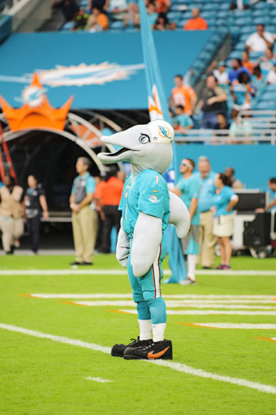 TD, the Dolphins mascot