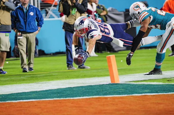Danny Amendola (80) tries to extend for a touchdown