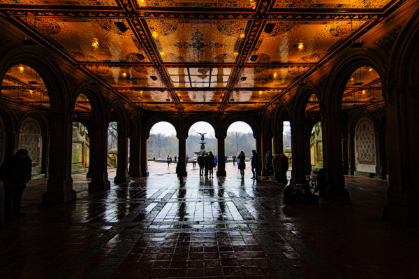 Bethesda Fountain and Terrance