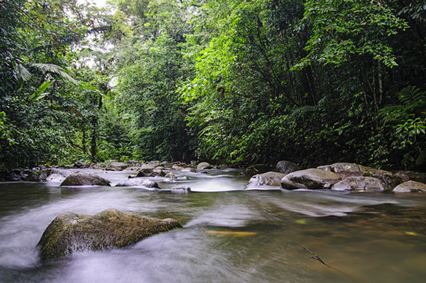 Chachagua Rainforest Ecolodge River