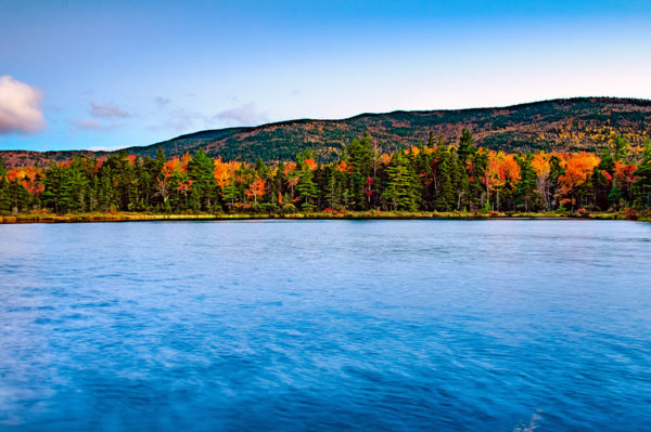 beaver pond white mountains