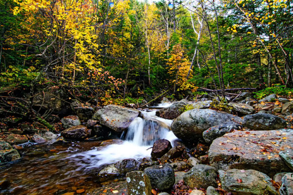 bemis trail waterfall