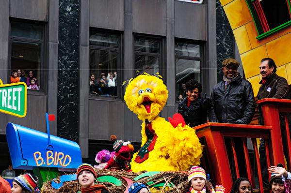 big bird macys thanksgiving day parade