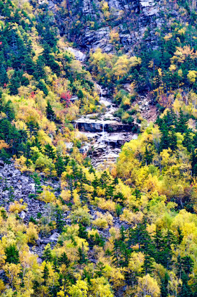 crawford notch state park