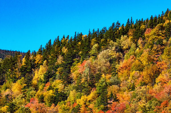 fall in new england