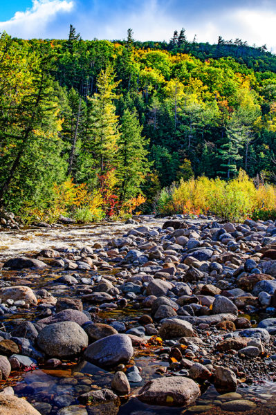 lower falls white mountains