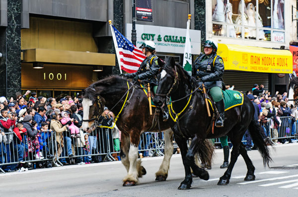 Mounted police thanksgiving day parade