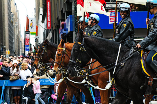 NYC Mounted Police Unit