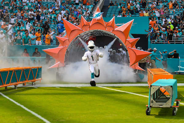 TD the mascot leads the Miami Dolphins onto the field