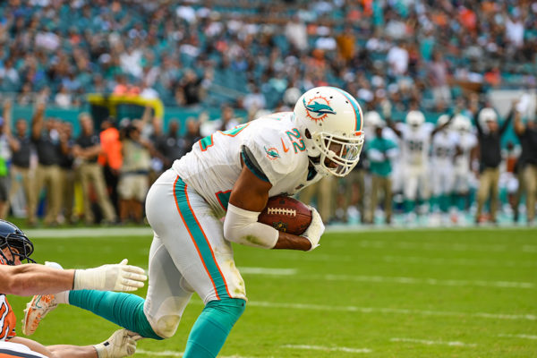 Miami Dolphins strong safety T.J. McDonald (22) intercepts a pass in the endzone