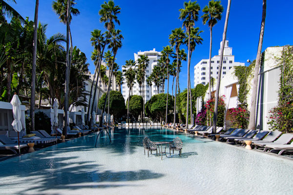 Delano Hotel pool