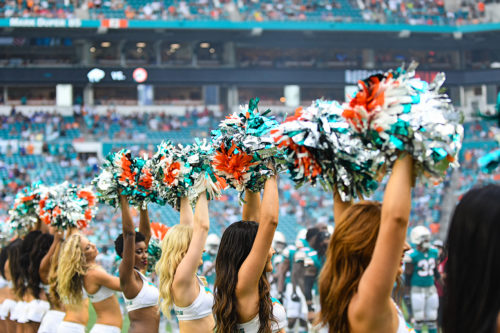 Miami Dolphins cheerleaders