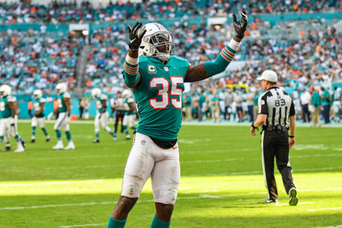 Miami Dolphins defensive back Walt Aikens (35) tries to hype up the crowd