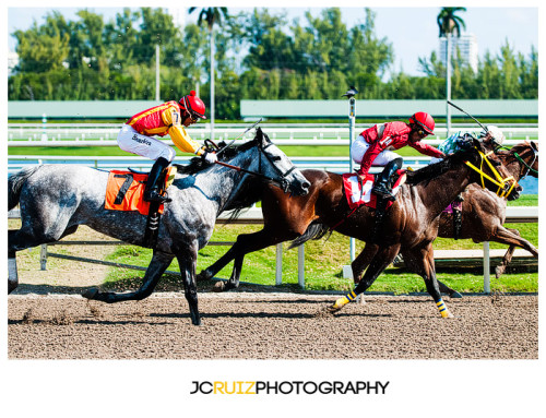 Gulfstream Park Horse Racing