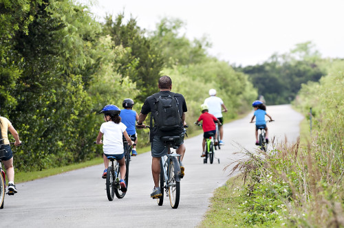 Biking in Shark Valley