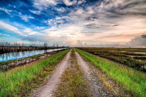 Everglades dirt road