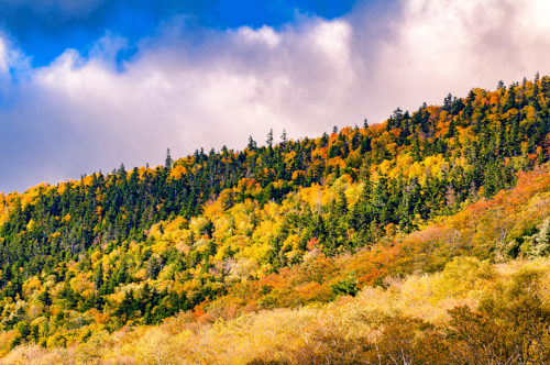 Fall in the White Mountains