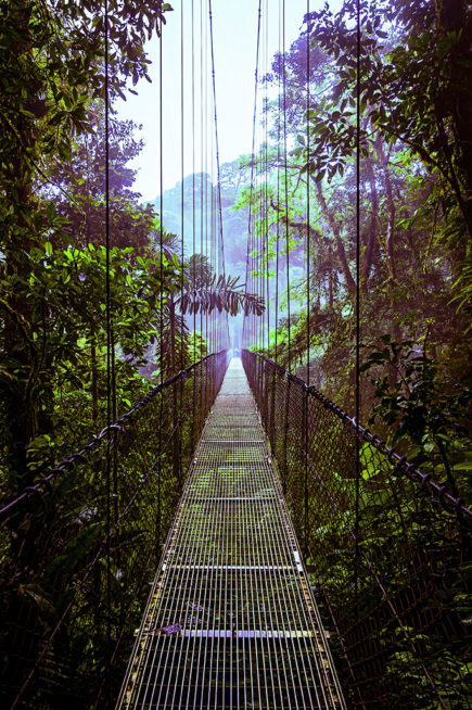 Mistico Arenal Hanging Bridges