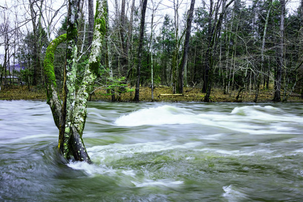 Oconaluftee River