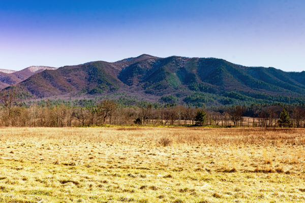 cades cove