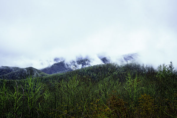 great smoky mountains national forest