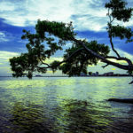 Key Biscayne Sunset