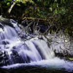 laurel falls