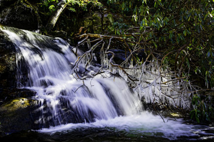 laurel falls