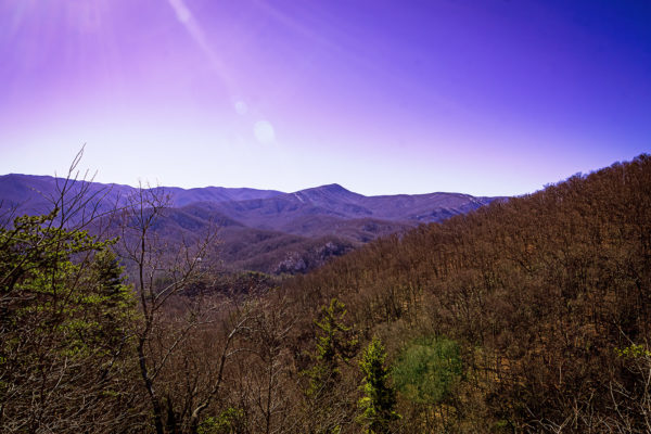 laurel falls trail